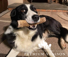 Load image into Gallery viewer, Large Antler Dog Chew
