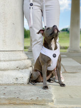 Load image into Gallery viewer, Adjustable Harness - Diamonds Are Forever
