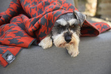 Load image into Gallery viewer, Ellery Bow Hounds Tooth Blanket
