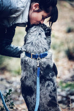 Load image into Gallery viewer, Fabric &amp; Leather Collar - Rayleigh
