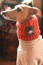 Load image into Gallery viewer, Ellery Bow Dog Snoods
