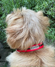 Load image into Gallery viewer, Reg&amp;Bob Striped Collar
